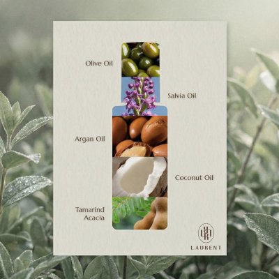 Laurent Lightweight Moisture Hair Oil (100ml) ลอเรนท์ ไลท์เวท มอยส์เจอร์ แฮร์ ออยล์