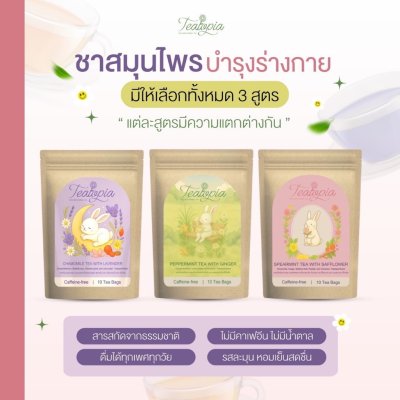 Teatopia Femme Bloom-Spearmint Tea with Safflower (1 กล่องมี 10 ซอง) เฟมบลูม-ชาสเปียร์มินต์ผสมดอกคำฝอย