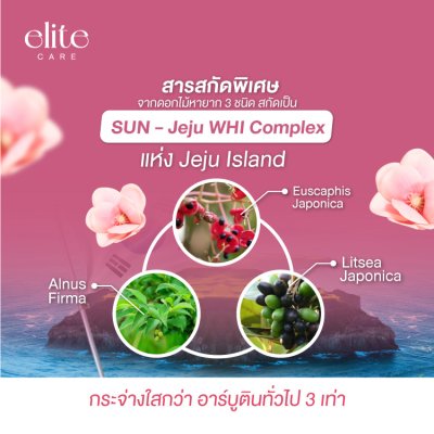 ELITE CARE Serum Pad 120 ml (60 Pad) เซรั่ม แพด 120มล. (60 แผ่น)