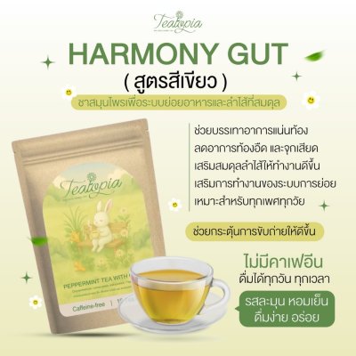 Teatopia Harmony Gut-Perpermint Tea with Ginger (1 กล่องมี10 ซอง) ฮาร์โมนี่กัท-ชาเปปเปอร์มินต์ผสมขิง