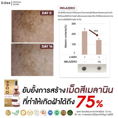 D.Dee Innovative Anti-Melasma Serum (15ml) ดีดี เซรั่มบำรุงผิวหน้า