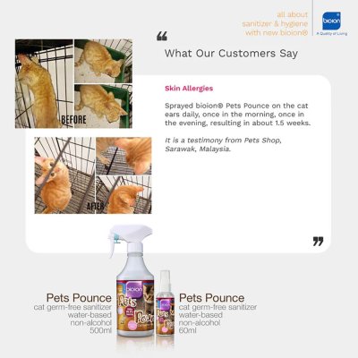 Pets Pounce ดูแลปัญหาโรคผิวหนังสัตว์เลี้ยง