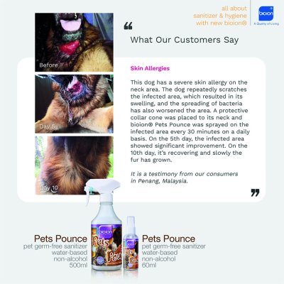Pets Pounce ดูแลปัญหาโรคผิวหนังสัตว์เลี้ยง