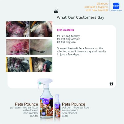 Pets Pounce ดูแลปัญหาโรคผิวหนังสัตว์เลี้ยง