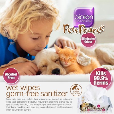 ผ้าเปียกสัตว์เลี้ยง Pets Pounce