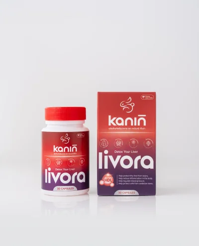 คณินทร์ ลิโวร่า (KANIN LIVORA)