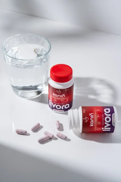 คณินทร์ ลิโวร่า (KANIN LIVORA)