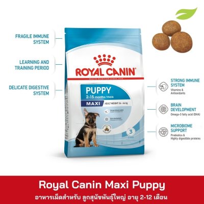 Royal Canin Maxi Puppy
