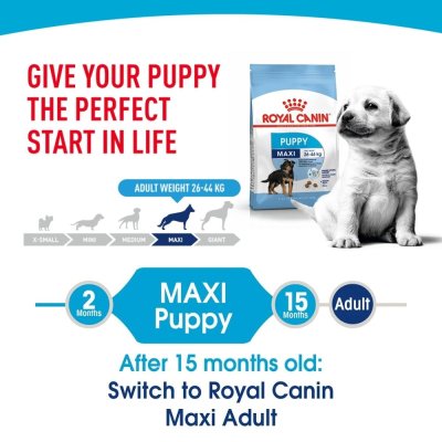 Royal Canin Maxi Puppy