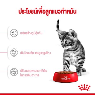 Royal Canin Kitten Sterilised