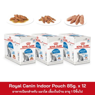 Royal Canin Indoor Pouch