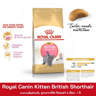 Royal Canin Kitten British Shorthair