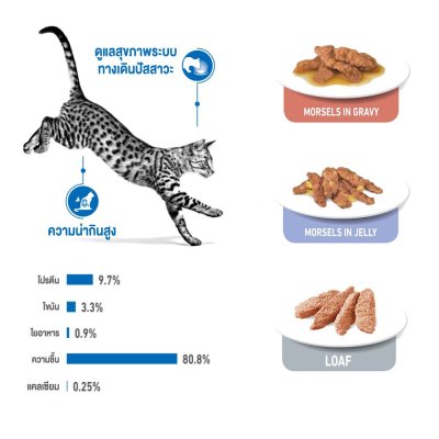 Royal Canin Indoor Pouch