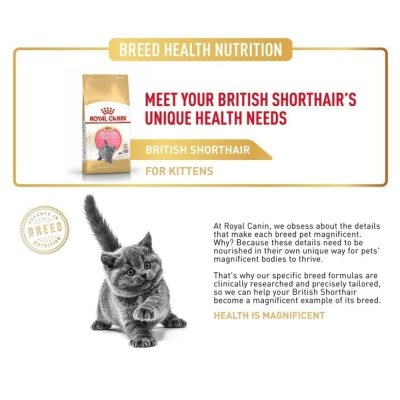 Royal Canin Kitten British Shorthair