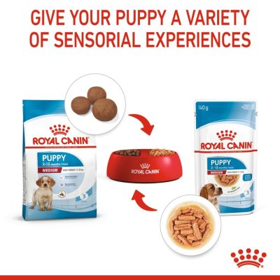 Royal Canin Medium Pouch [Gravy]