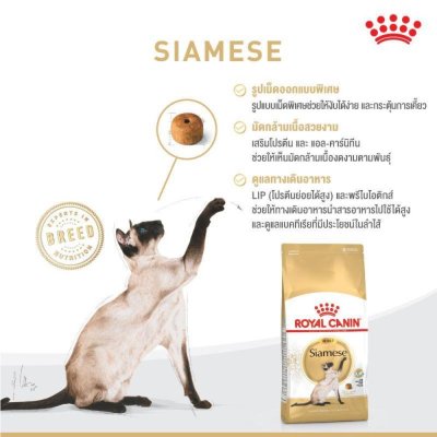 Royal Canin Siamese Adult