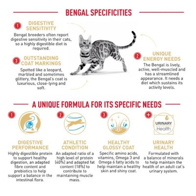 Royal Canin Bengal Adult