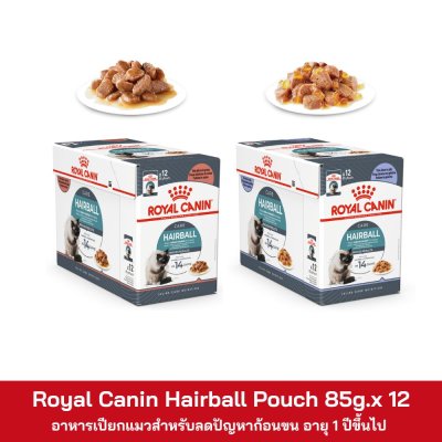 Royal Canin Hairball Pouch