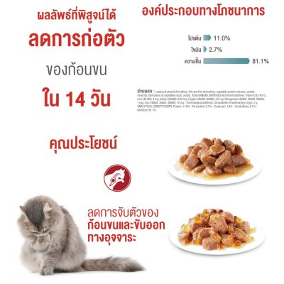 Royal Canin Hairball Pouch