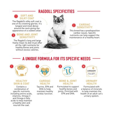 Royal Canin Ragdoll Adult