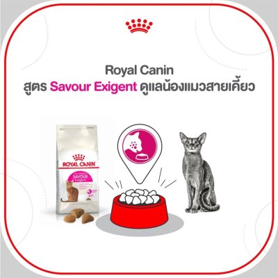 Royal Canin Savour Exigent