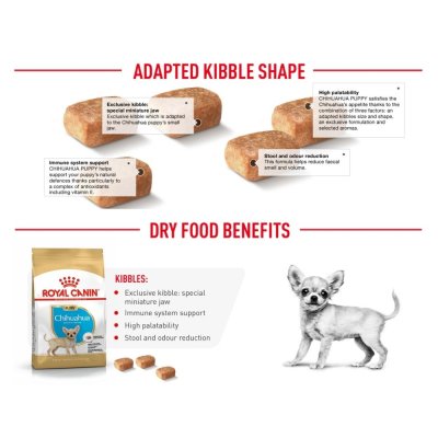 Royal Canin Chihuahua Puppy