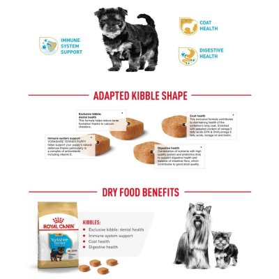 Royal Canin Yorkshire Terrier Puppy