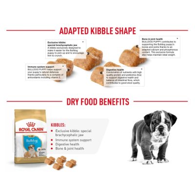 Royal Canin Bulldog Puppy