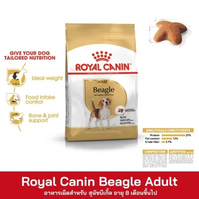 Royal Canin Beagle Adult