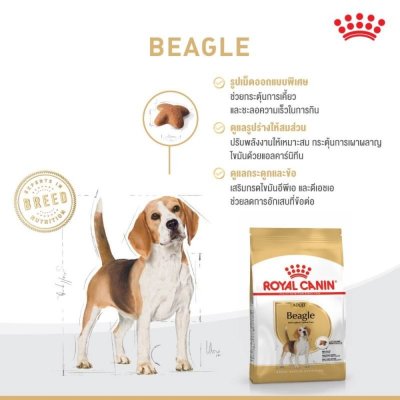 Royal Canin Beagle Adult