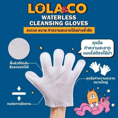 Lola & Co waterless Cleansing Glove