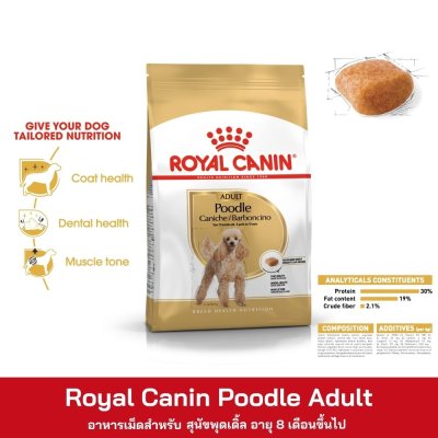 Royal Canin Poodle Adult