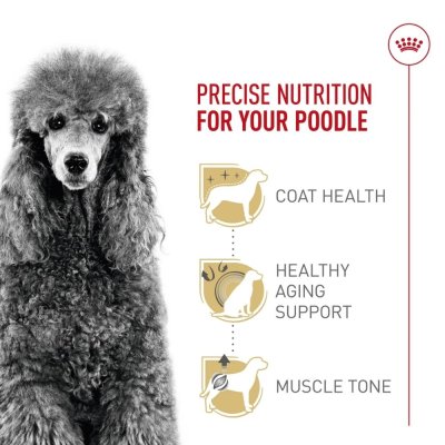 Royal Canin Poodle Adult