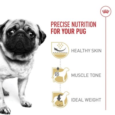 Royal Canin Pug Adult