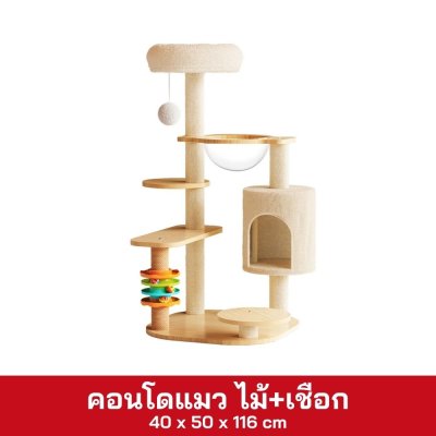 คอนโดแมว 38