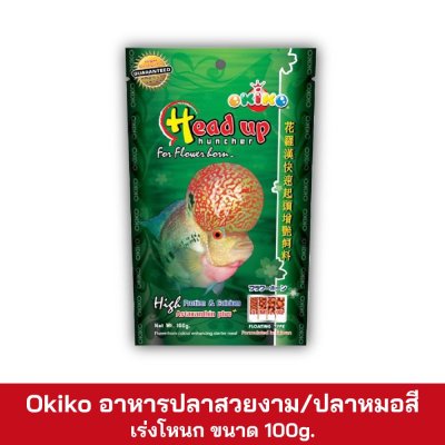 Okiko Head Up 100g.