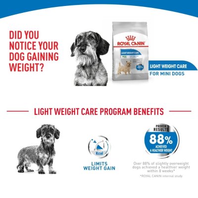 Royal Canin Mini Light Weight Care