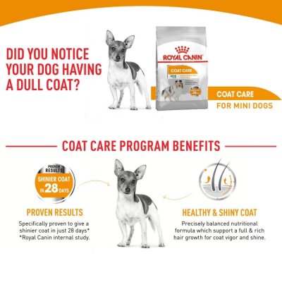 Royal Canin Mini Coat Care
