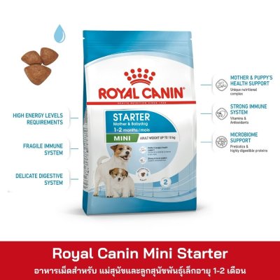 Royal Canin Mini Starter Mother&Babydog