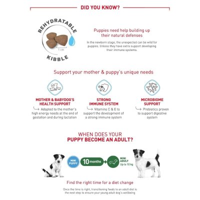 Royal Canin Mini Starter Mother&Babydog