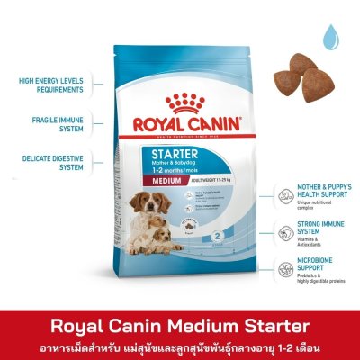 Royal Canin Medium Starter Mother&Babycat