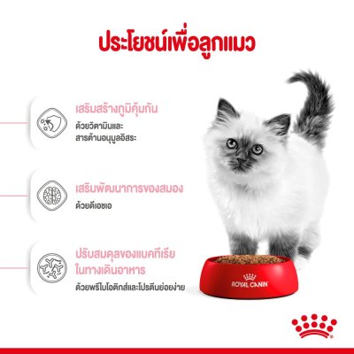 Royal Canin Kitten