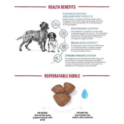 Royal Canin Medium Starter Mother&Babycat