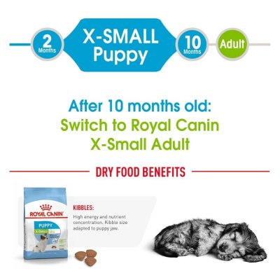 Royal Canin X-Small Puppy