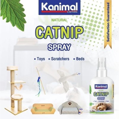 Kanimal Catnip Spray