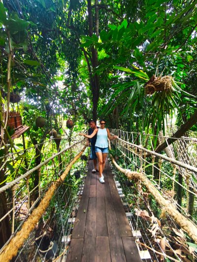 ATV 2 Hour Trip + Passenger