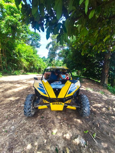 BUGGY 4 Hour Trip 1 or 2 people