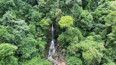 Zipline 1 Hour