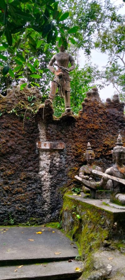 BUGGY 4 Hour Trip 1 or 2 people