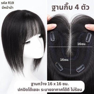 แผ่นปิดผมบาง (ผมแท้) ฐานกว้าง 16ซม. x ยาว 16ซม. ปกปิดได้เยอะ ปกปิดหงอกได้ เสริมผมหนา : ความยาว 35 ซม.